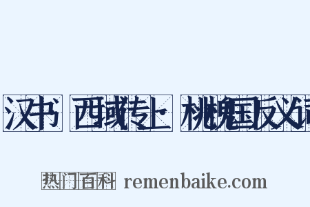 汉书·西域传上·桃槐国反义词是什么意思的图片
